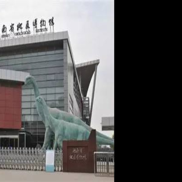 郑州大河村遗址博物馆 - 图片10