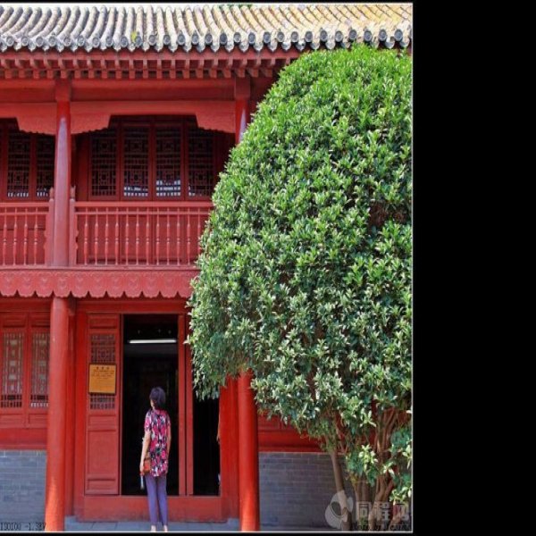 登封嵩阳书院 - 图片10