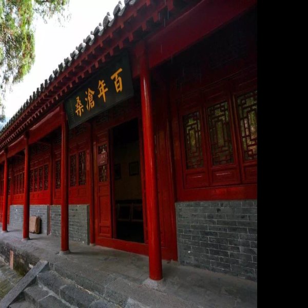 登封嵩阳书院 - 图片5