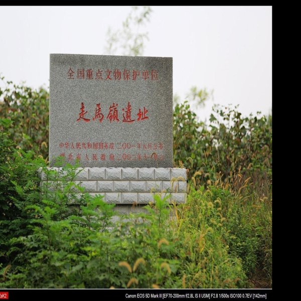 走马岭遗址 - 图片1