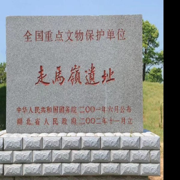 走马岭遗址 - 图片2