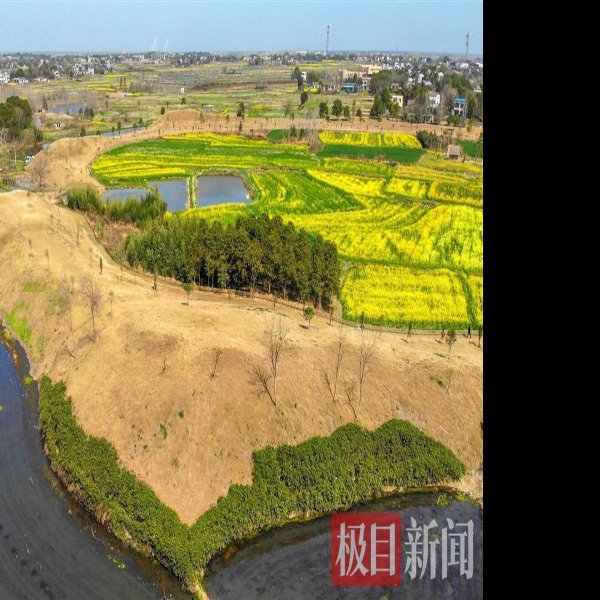 走马岭遗址 - 图片4