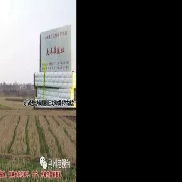 走马岭遗址 - 图片5