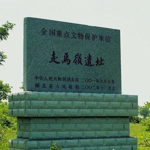 走马岭遗址 - 图片6