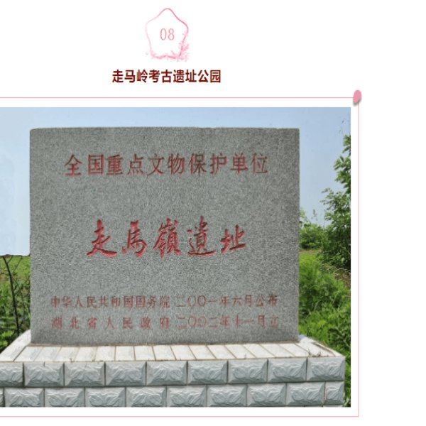 走马岭遗址 - 图片7