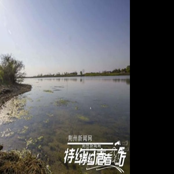 阴湘城遗址 - 图片4