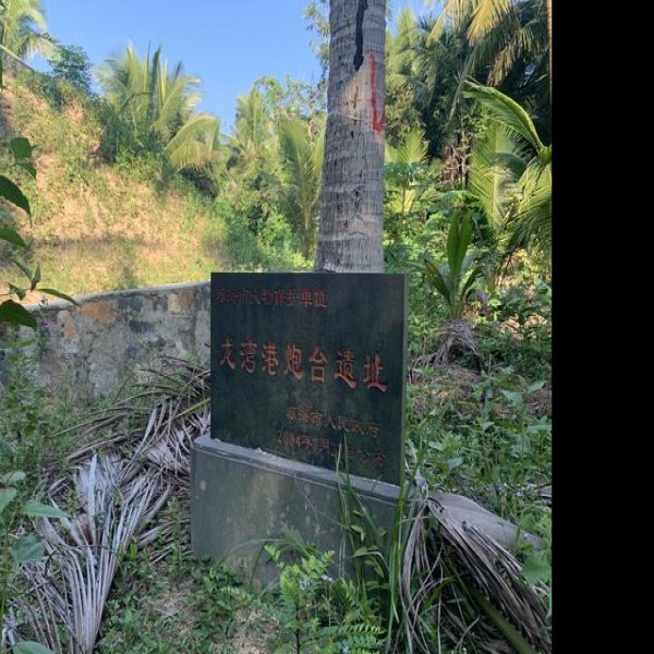 龙湾遗址 - 图片5
