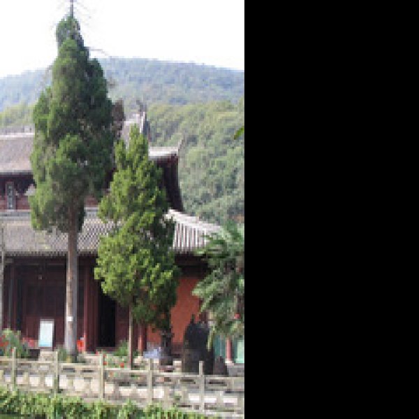 玉泉寺 - 图片3
