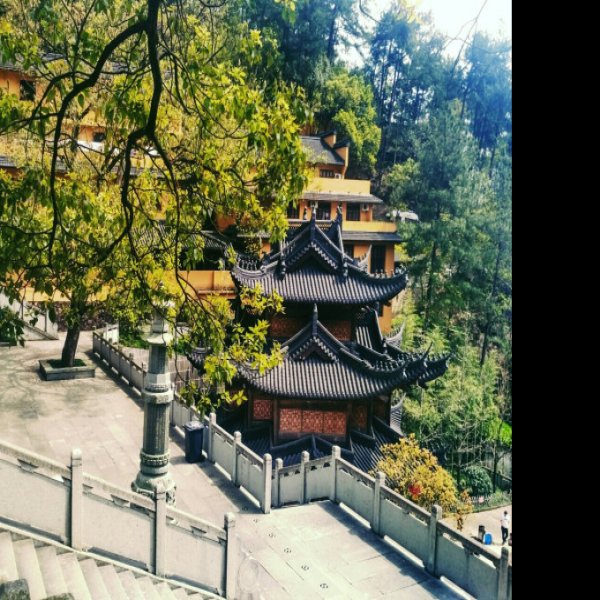 玉泉寺 - 图片8