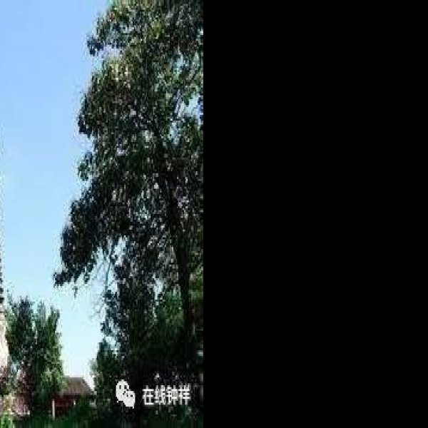 钟祥文风塔 - 图片7