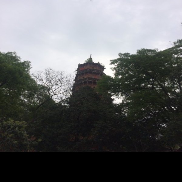 洪山宝塔 - 图片7