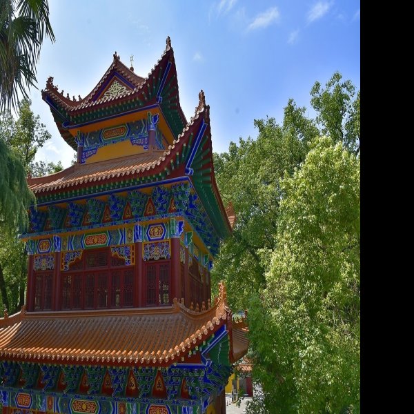 宝通寺 - 图片3
