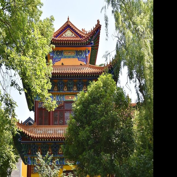 宝通寺 - 图片6