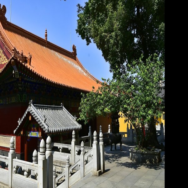 宝通寺 - 图片7