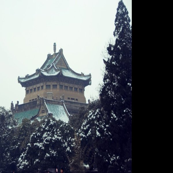 武汉大学早期建筑 - 图片3