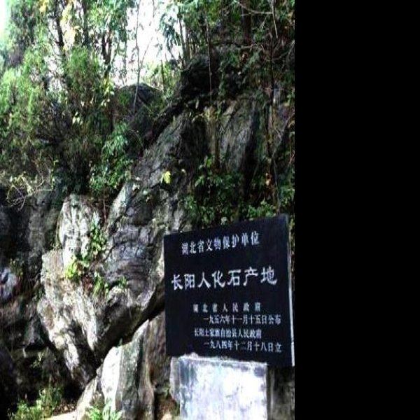 长阳人遗址 - 图片1