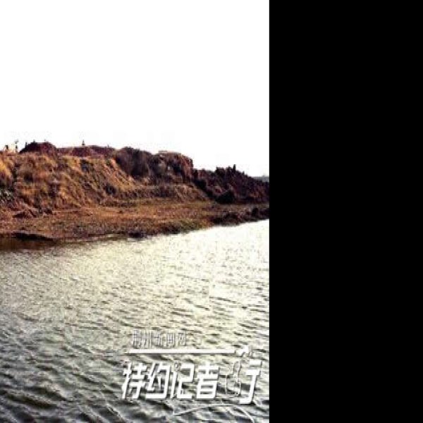 鸡公山遗址 - 图片10