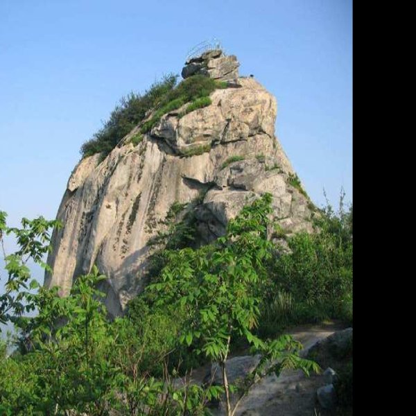 鸡公山遗址 - 图片2