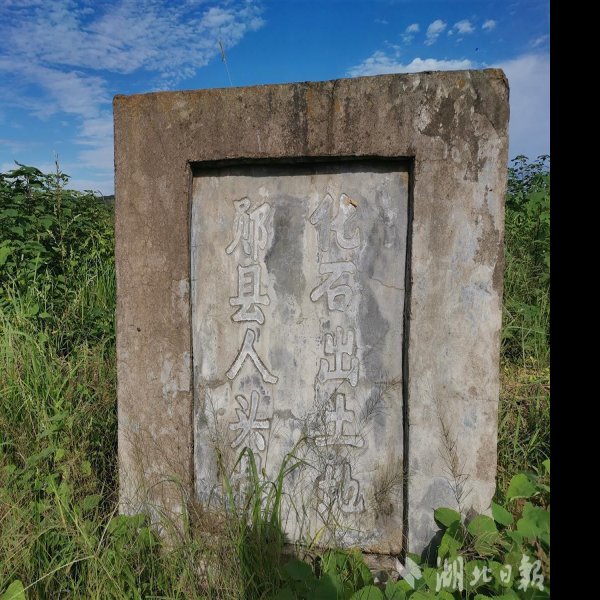 鸡公山遗址 - 图片6