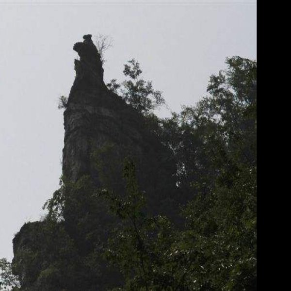 鸡公山遗址 - 图片7