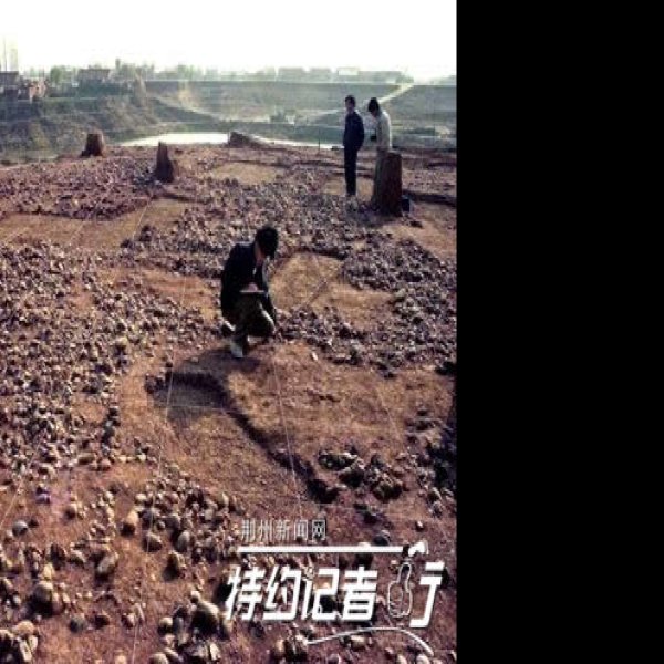 鸡公山遗址 - 图片8
