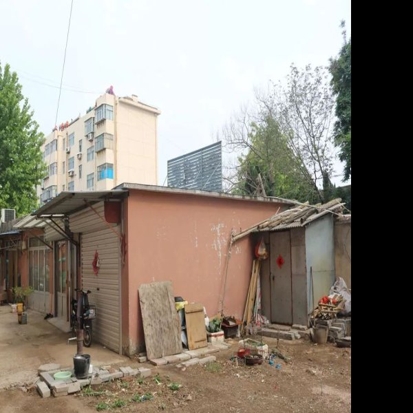 曹家楼遗址 - 图片2