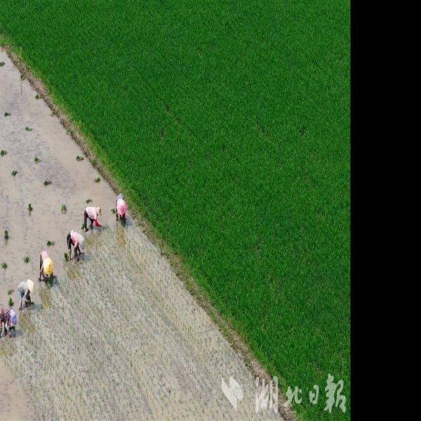 三房湾遗址 - 图片5