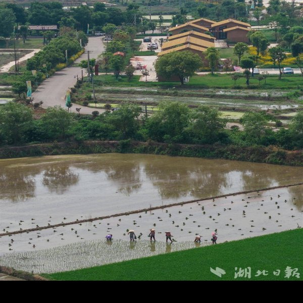 三房湾遗址 - 图片7
