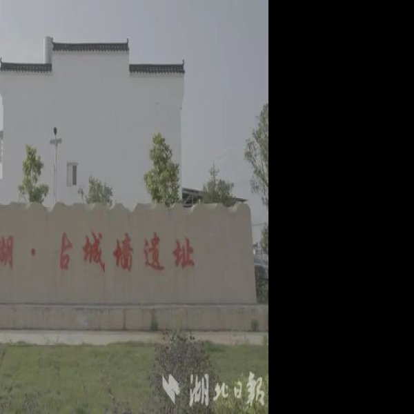 陶家湖遗址 - 图片7