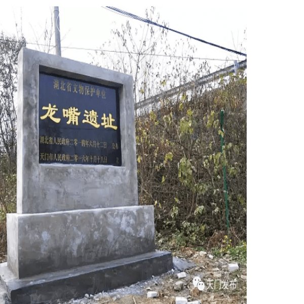龙嘴遗址 - 图片4