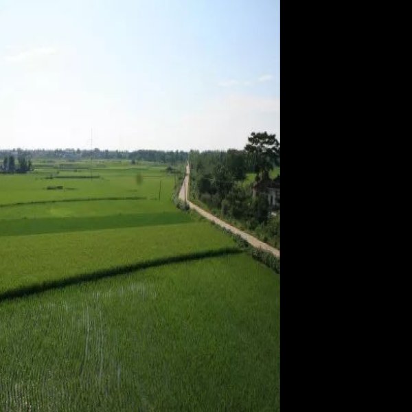 鸡鸣城遗址 - 图片4