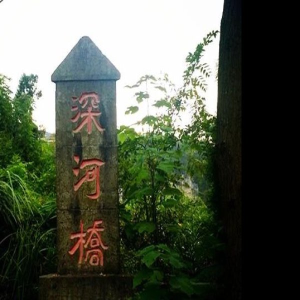 泗泊河遗址 - 图片7