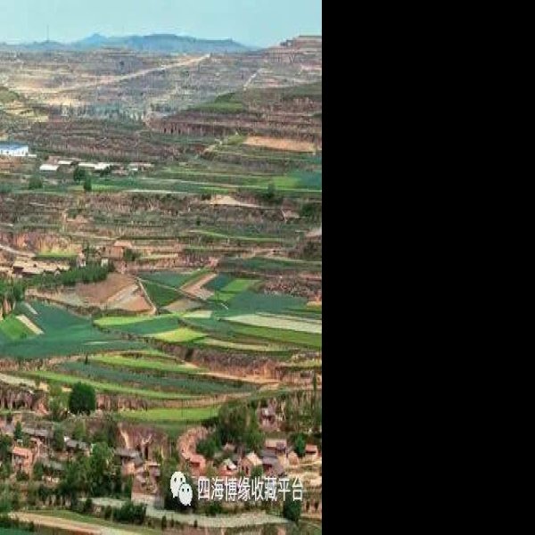 马家垸遗址 - 图片10
