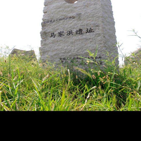 马家垸遗址 - 图片4