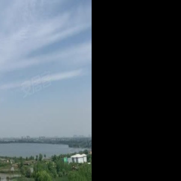 陶家大湖遗址 - 图片1