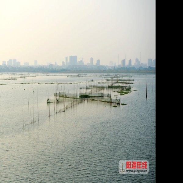陶家大湖遗址 - 图片3