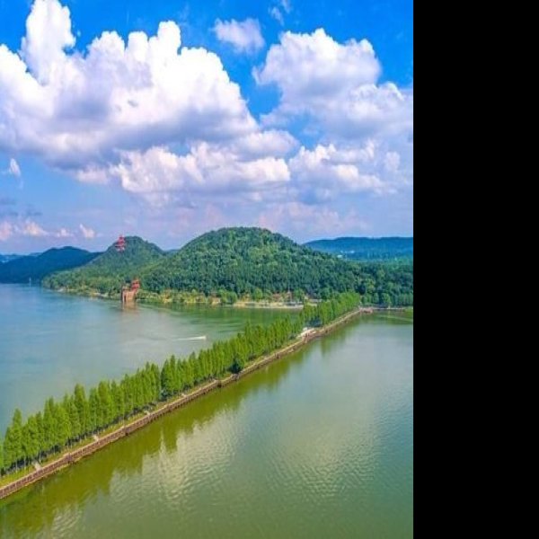 陶家大湖遗址 - 图片4