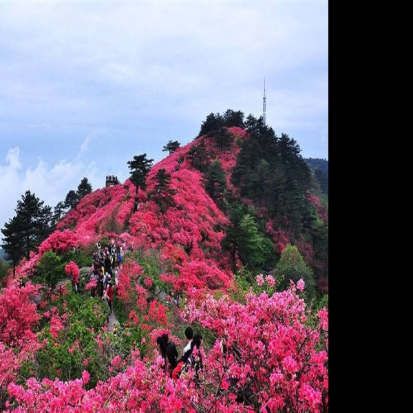 麻城龟峰山 - 图片2