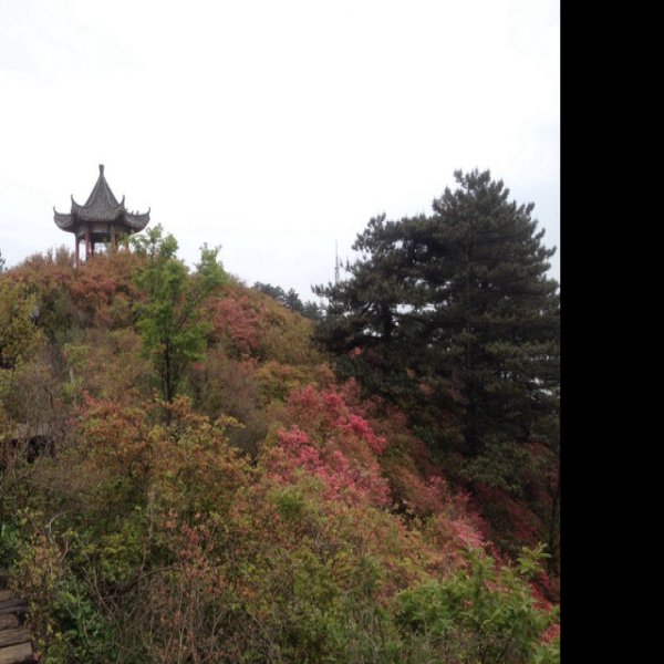 麻城龟峰山 - 图片8