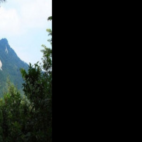 浠水三角山 - 图片6