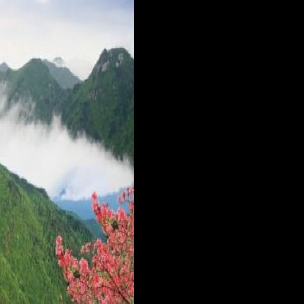 浠水三角山 - 图片9