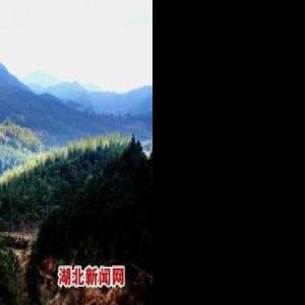 武穴横岗山 - 图片1