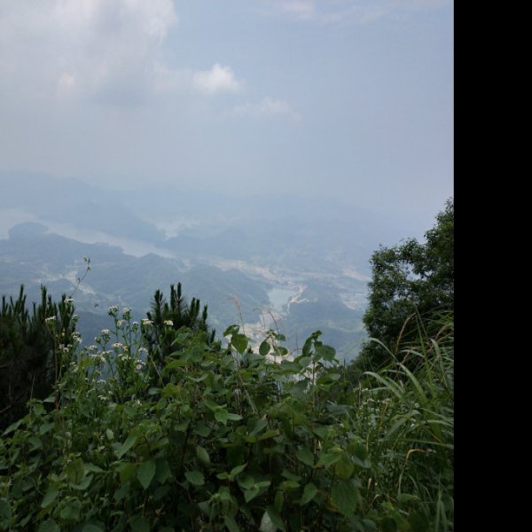 武穴横岗山 - 图片3