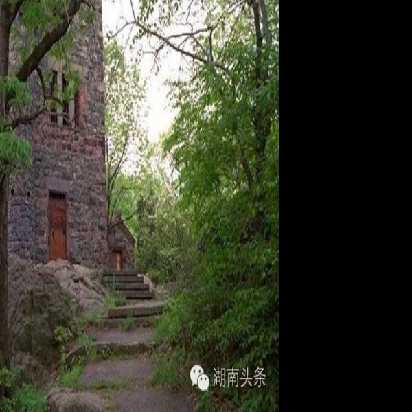 八十垱遗址 - 图片3