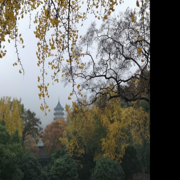走马楼遗址 - 图片10