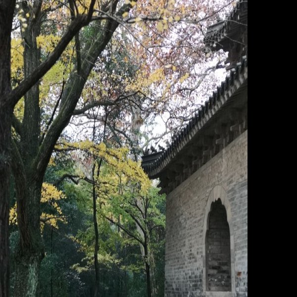 走马楼遗址 - 图片6