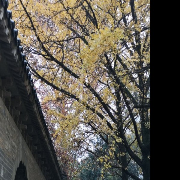 走马楼遗址 - 图片9