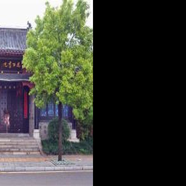 石鼓书院 - 图片4