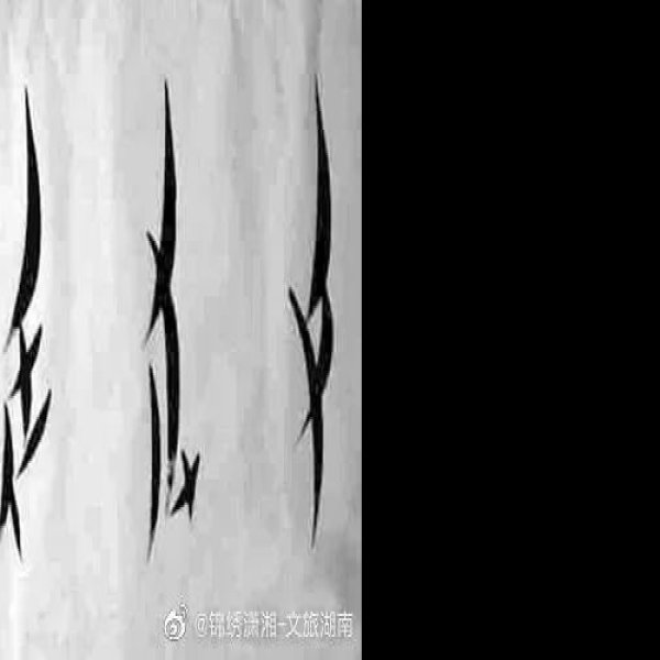 江永女书 - 图片1
