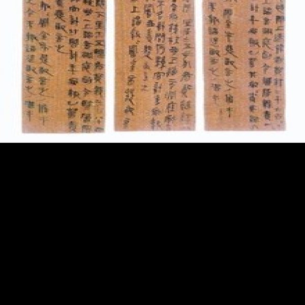 里耶秦简 - 图片5